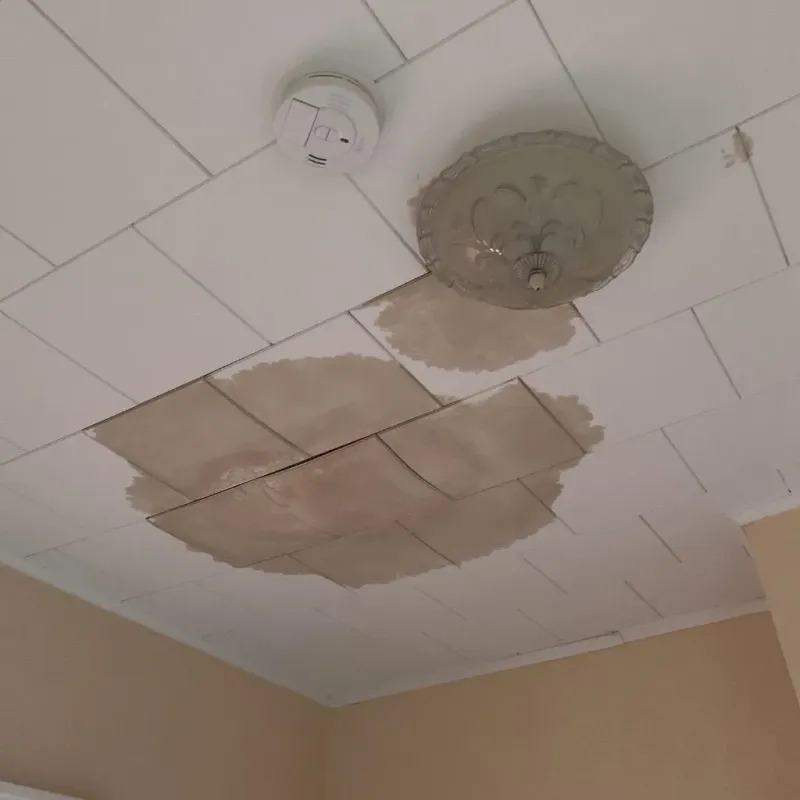Ceiling Water Damage Repair in Valley View, PA