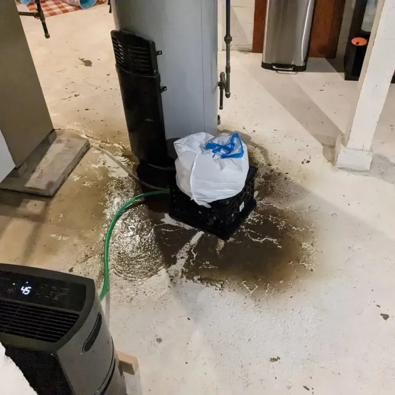Sewage Backup Cleanup Service in Valley View, PA